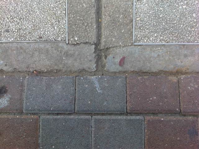 IMG02559-20121121-0927