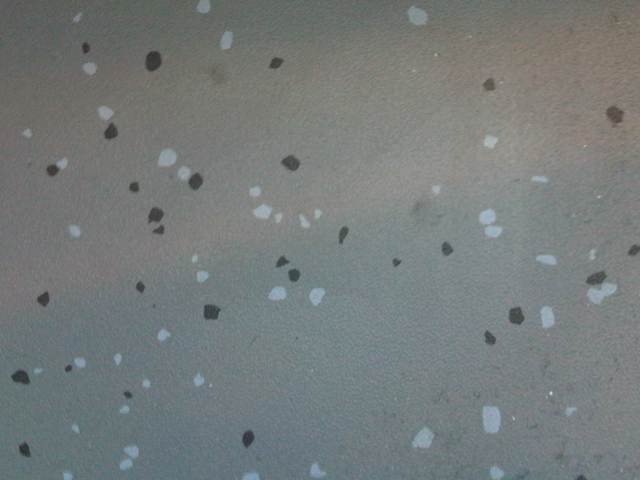 IMG02565-20121121-0937