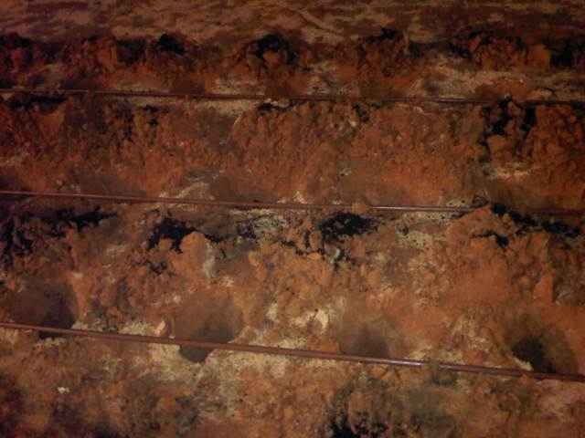 IMG02654-20121122-2046