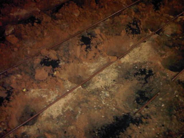 IMG02655-20121122-2046