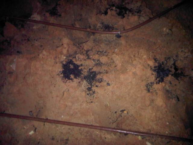 IMG02657-20121122-2047