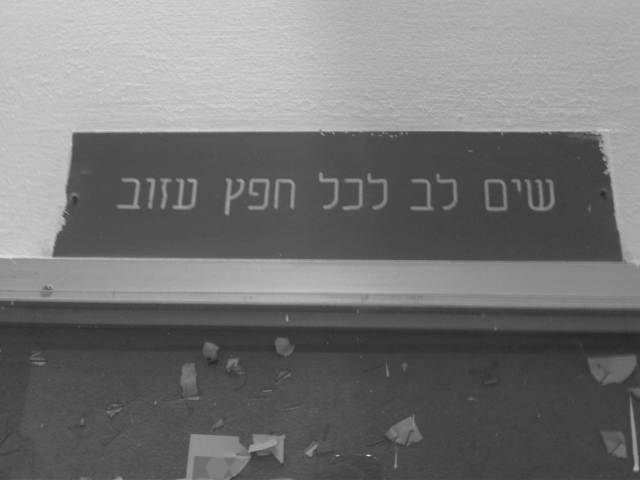 IMG02788-20121125-1110