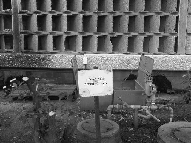 IMG02803-20121126-1518