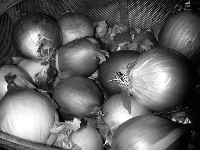 IMG02880-20121127-0103