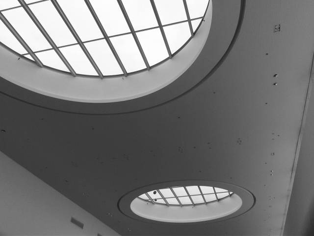 IMG02896-20121127-0920