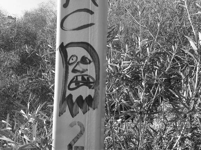 IMG02914-20121128-1138