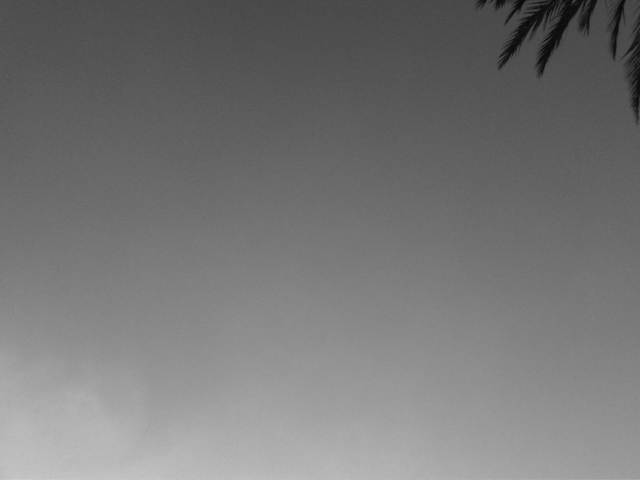 IMG02923-20121128-1547