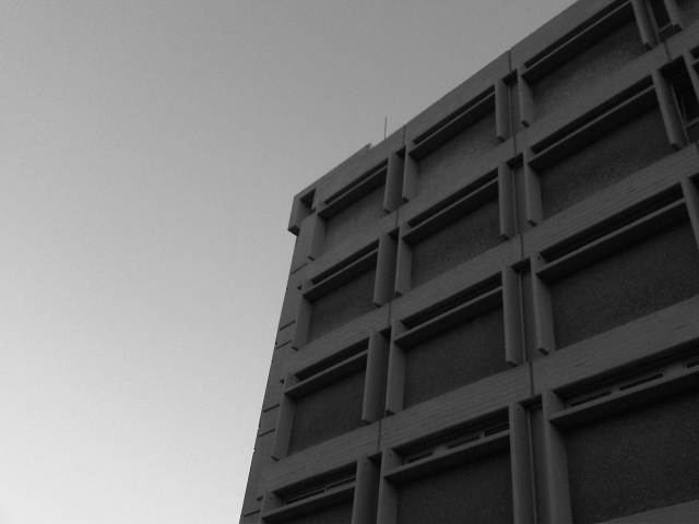 IMG02924-20121128-1632