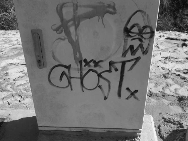 IMG02933-20121129-1303