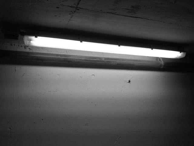 IMG02946-20121130-1500