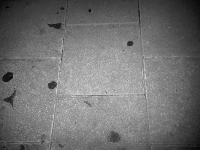 IMG03012-20121202-2014