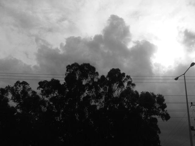 IMG03056-20121204-1302