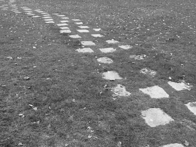 IMG03098-20121204-1550