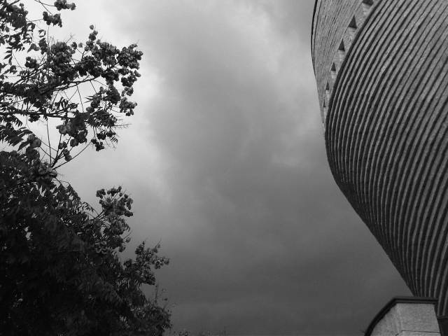 IMG03129-20121206-1313