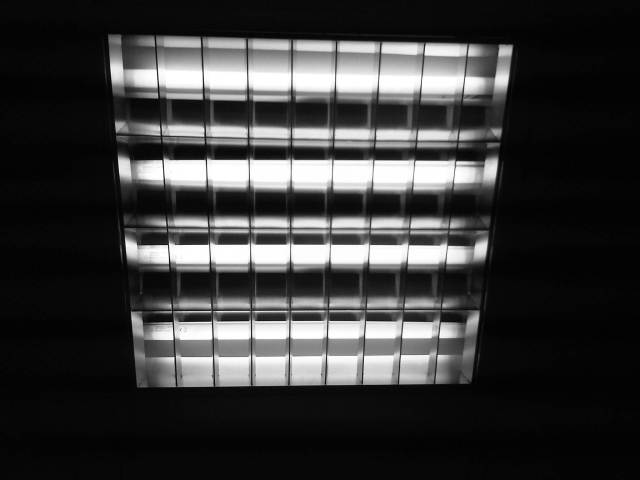 IMG03263-20121210-1453