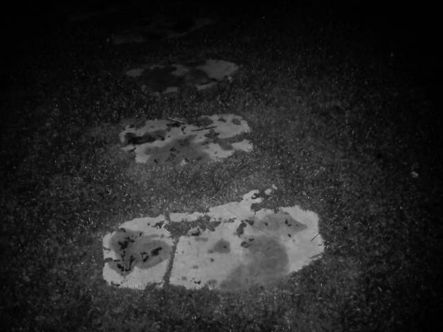 IMG02873-20121127-0101