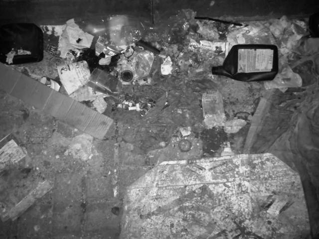 IMG02939-20121129-2148