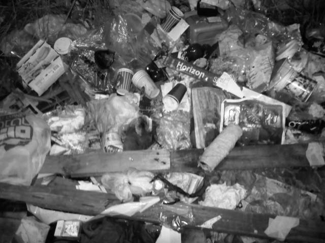 IMG02940-20121129-2148