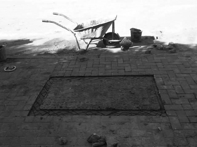 IMG03018-20121203-1046