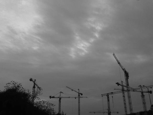 IMG03031-20121203-1613