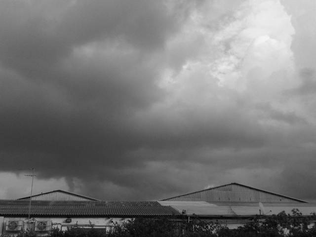 IMG03073-20121204-1504