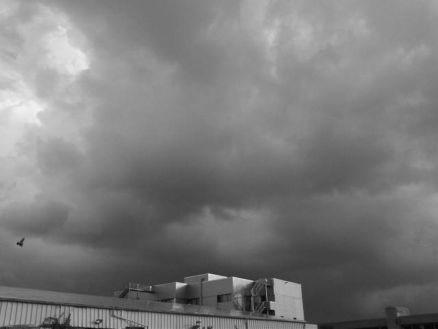 IMG03076-20121204-1505