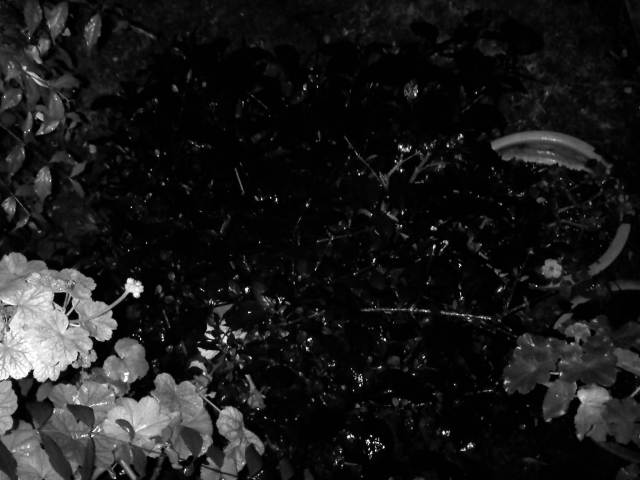 IMG03111-20121205-2254