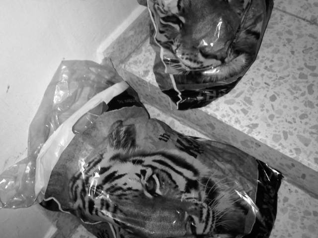 IMG03190-20121207-1947