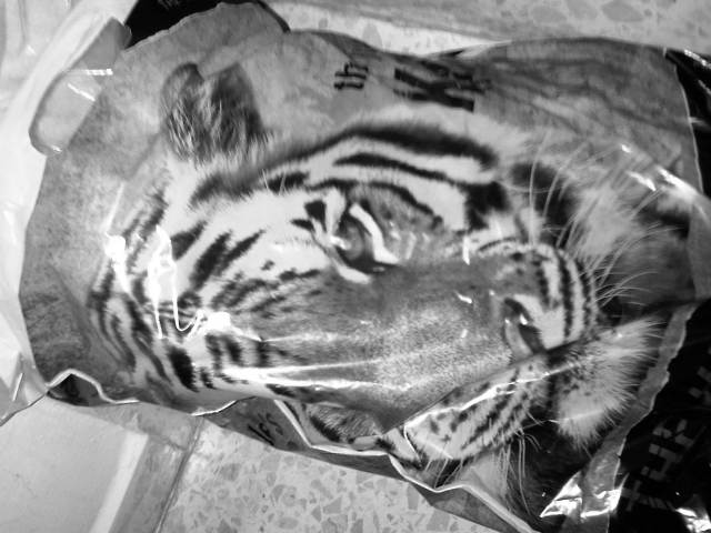 IMG03191-20121207-1947