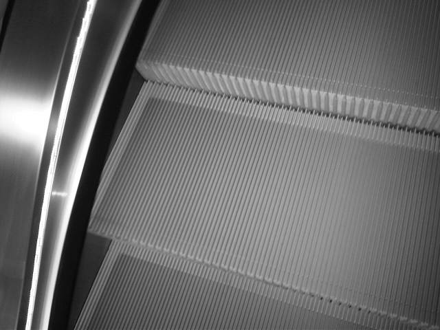 IMG03293-20121211-1516