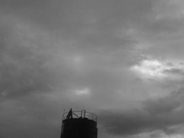 IMG03299-20121213-1222