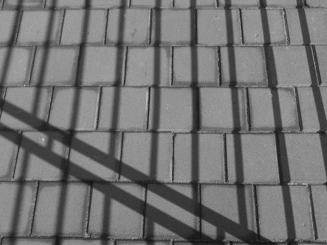 IMG03343-20121216-0948