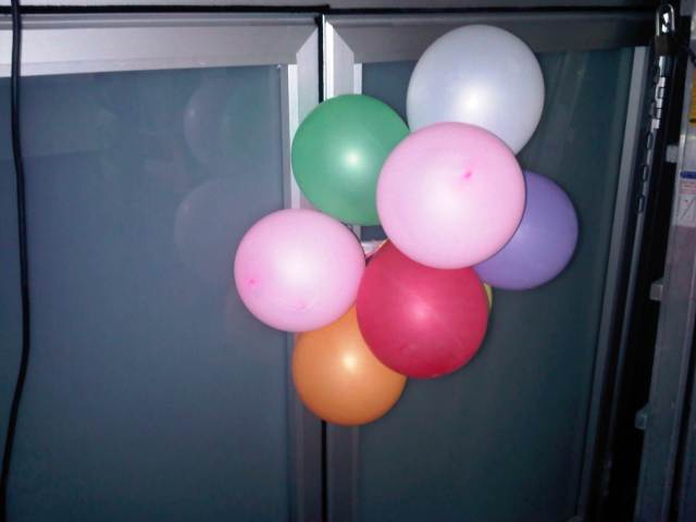 IMG03450-20121220-2030