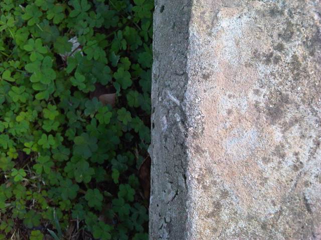 IMG03514-20121225-1604