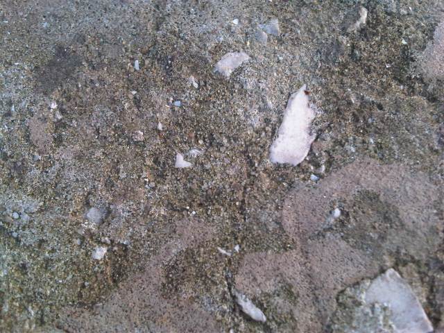 IMG03516-20121225-1605