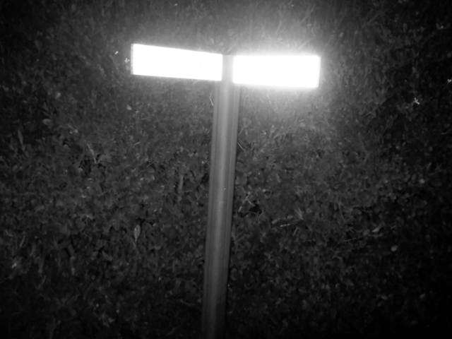 IMG03517-20121225-1819