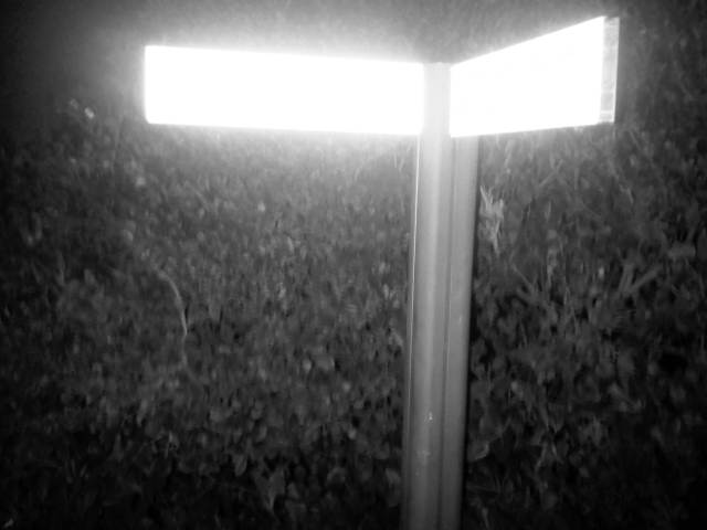 IMG03519-20121225-1819