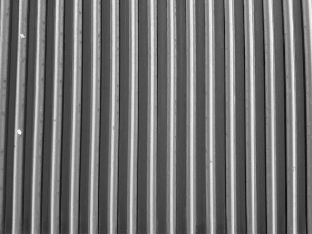 IMG03525-20121226-0934