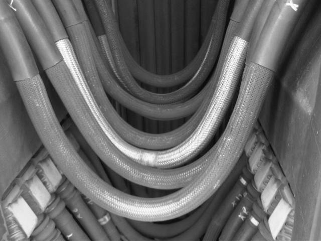 IMG03526-20121226-0935