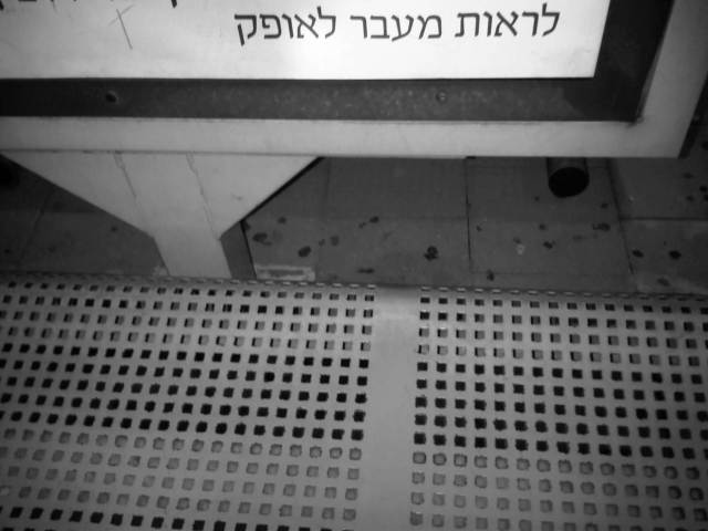 IMG03551-20121226-2341