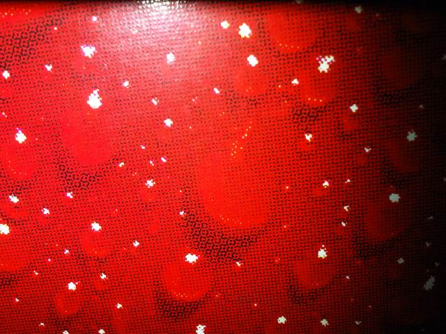 IMG03580-20121230-1753