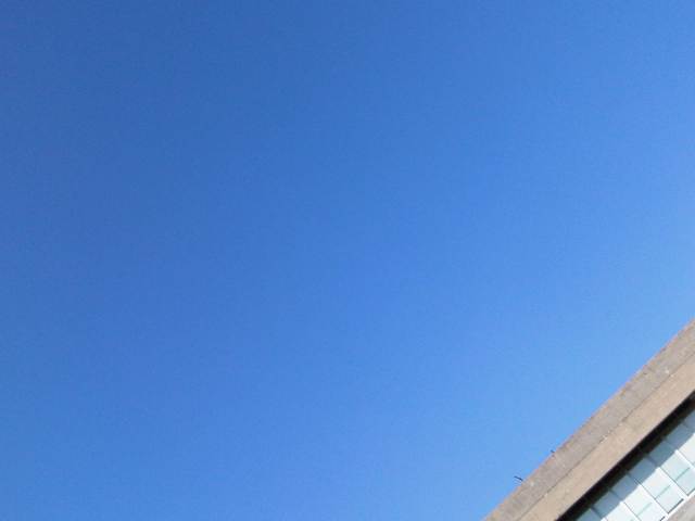 IMG03671-20130102-1347