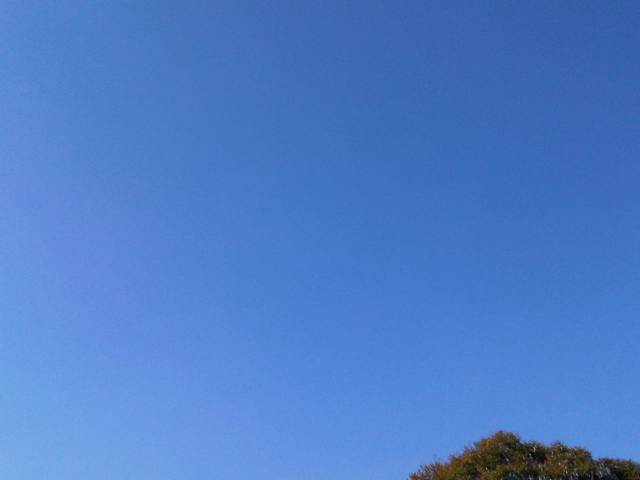 IMG03672-20130102-1347