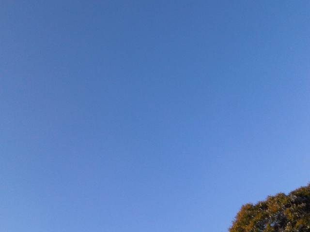 IMG03673-20130102-1347