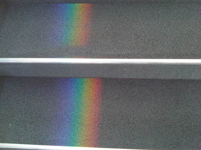 IMG03757-20130113-1146