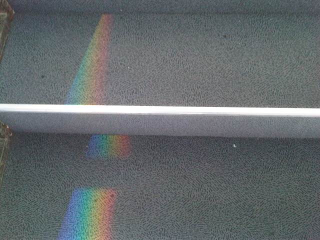 IMG03758-20130113-1146