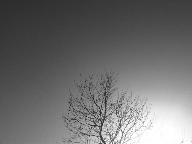 IMG03832-20130115-1548