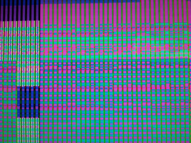 IMG03848-20130116-0037