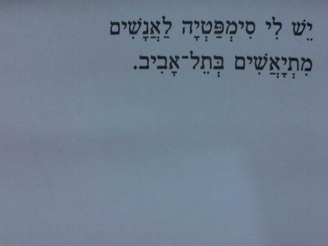 IMG03866-20130119-2002