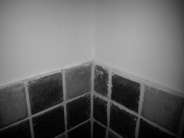 IMG03974-20130128-1853